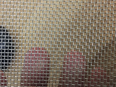 316L金剛網 316L金剛網